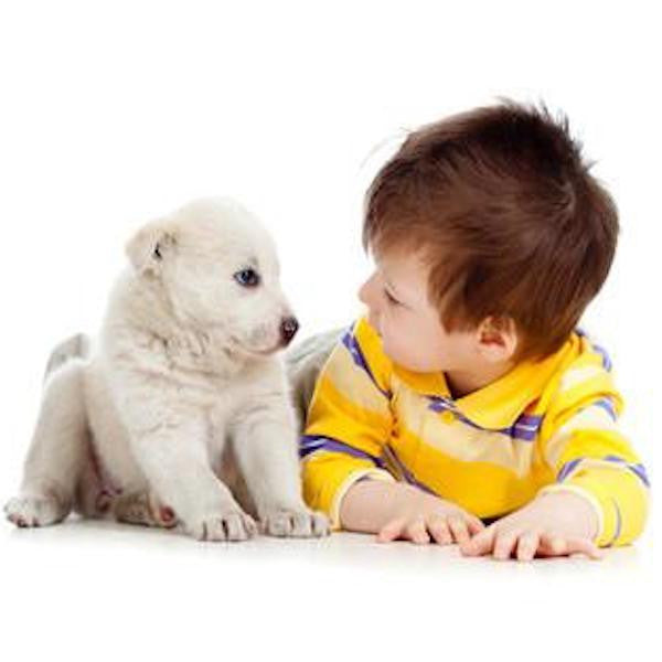 Dogs + Children = A Valuable Partnership